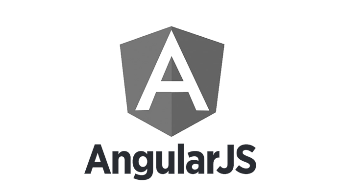 Angular JS