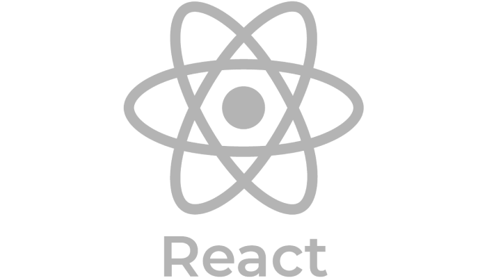 React app developer