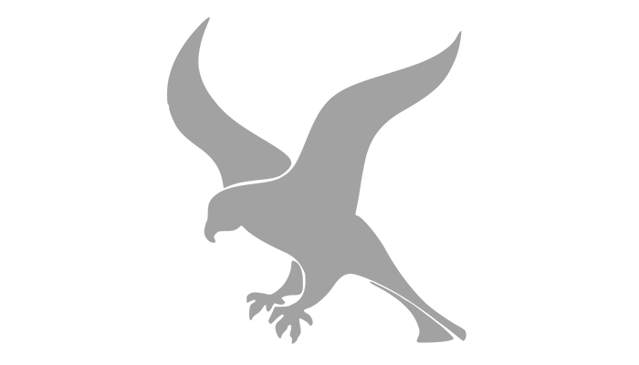 falcon