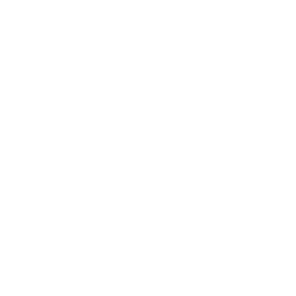 Partner Ecosystem