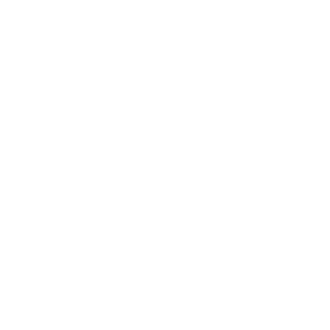 Precision Architecture